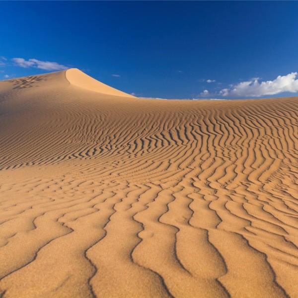 Reserva Natural Especial de Las Dunas de Maspalomas en Gran Canaria