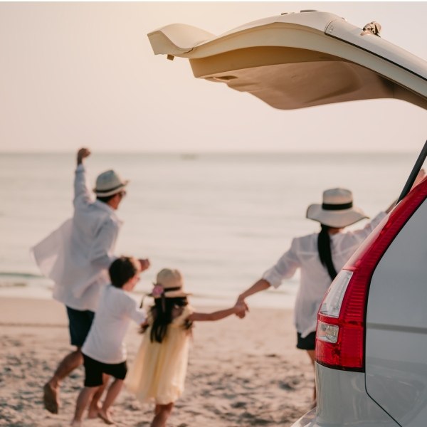 Car rental Padicar