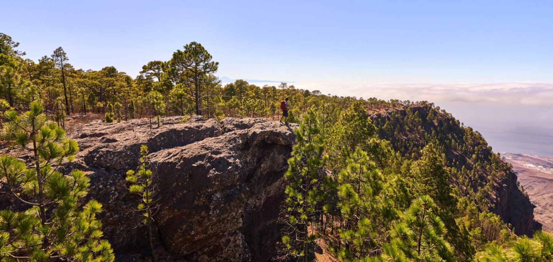 Landschaft von Tamadaba, Gran Canaria