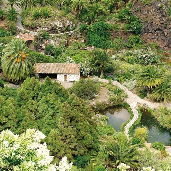 Jardín Botánico Viera y Clavijo