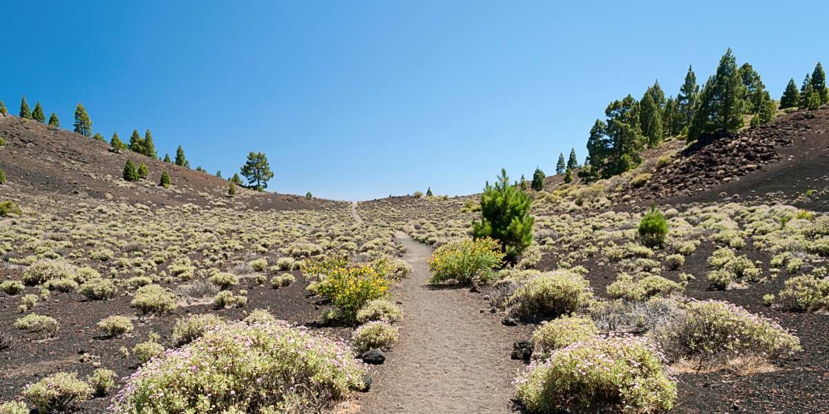 La Palma Vulkanroute