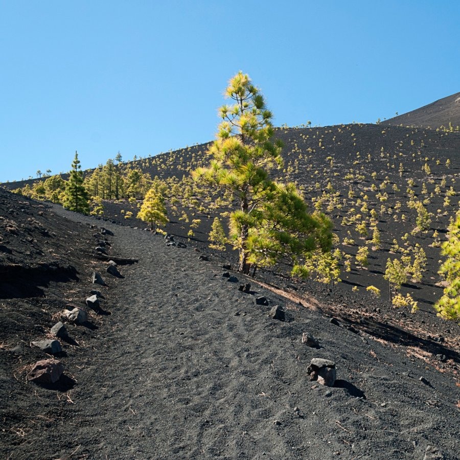 Vulkanroute auf La Palma