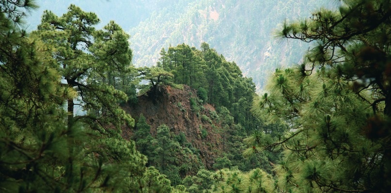 Nationalpark Caldera de Taburiente auf La Palma