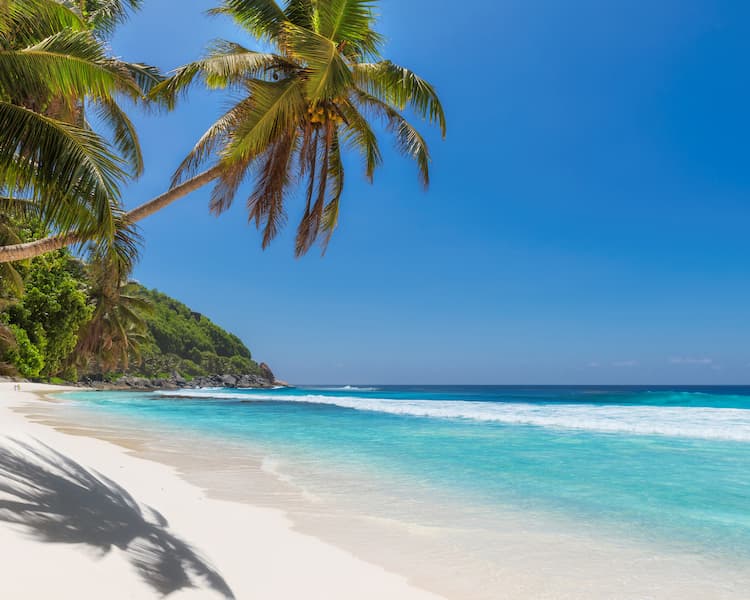 Jamaica | Princess Hotels