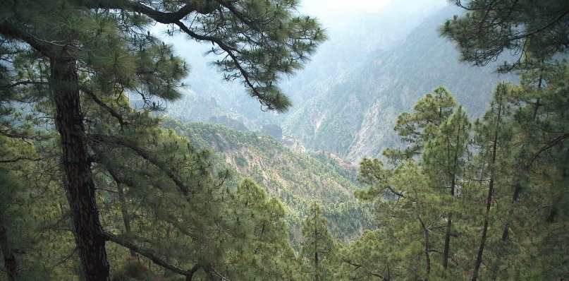 Caldera de Taburiente in La Palma