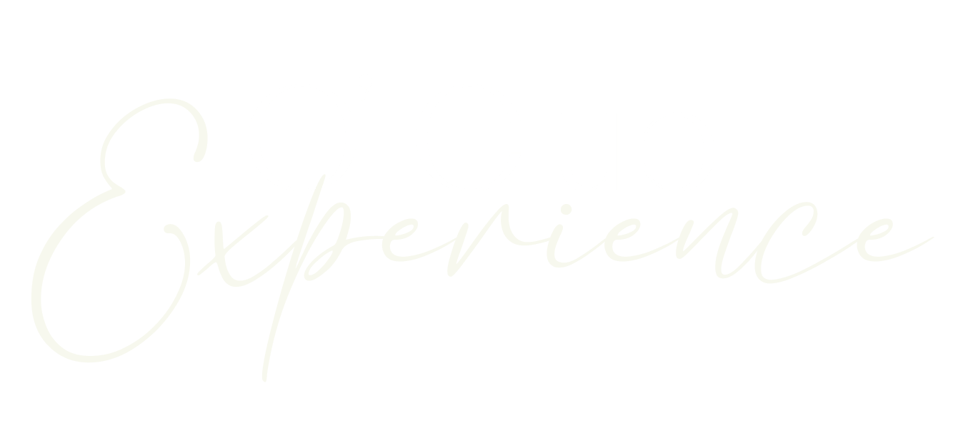 Header-oclub-EN