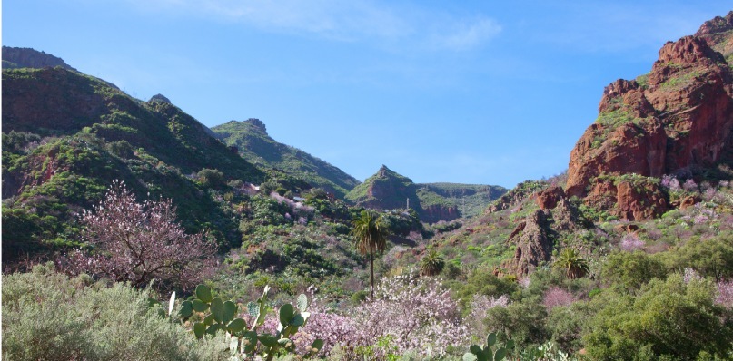 Barranco de Guayadeque auf Gran Canaria