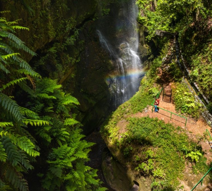 Cascada de Los Tilos, La Palma Cascada de Los Tilos, La Palma