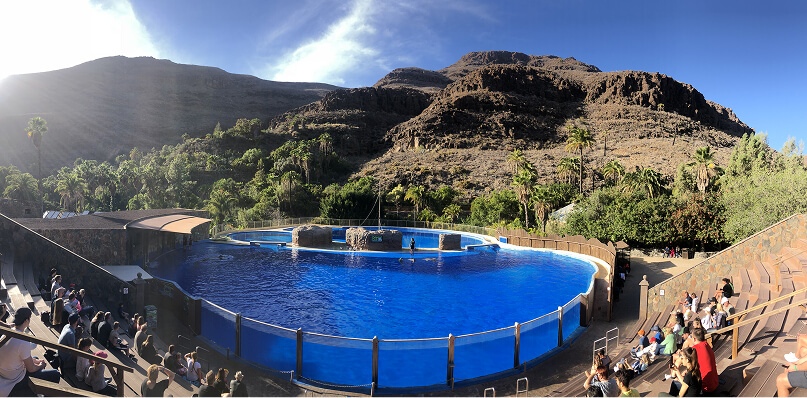 Botanical garden and zoo at Palmitos Park